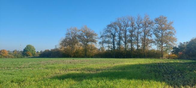 Darłowo, teren rolny, 4,6 ha podzielony na działki