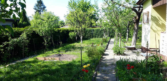 Sprzedam zadbaną działkę w ROD Wypoczynek w Będzinie