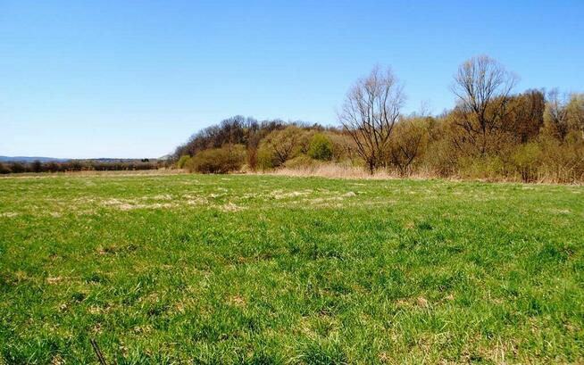 Działka w Załużu, gm. Sanok 41 ar