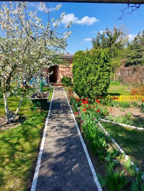 Działka ROD - sprzedaż