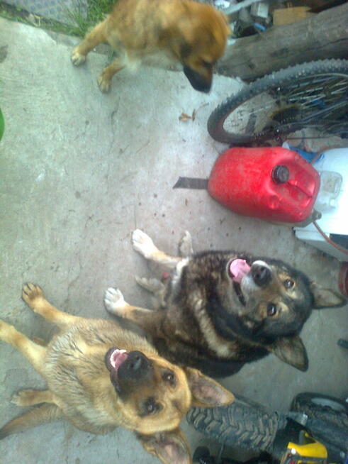 Poznam Panią przed wiosną.......