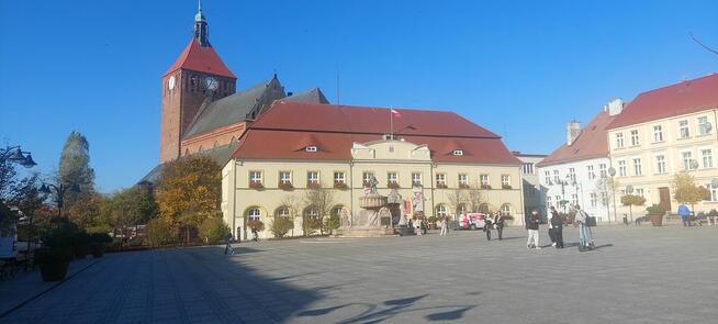 Darłowo, 7 działek rolnych, studium-zagrodowe