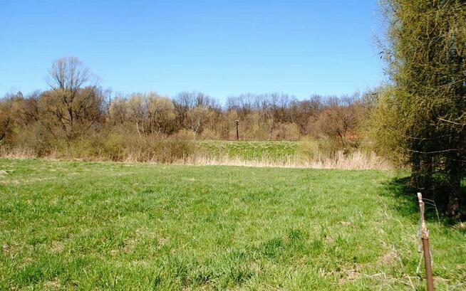 Działka w Załużu, gm. Sanok 41 ar