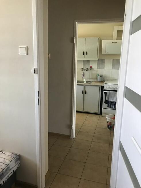 Mieszkanie do wynajęcia