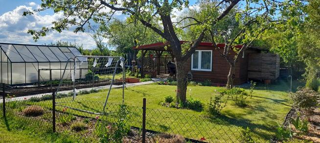 Działka, ROD im. Mikołaja Kopernika