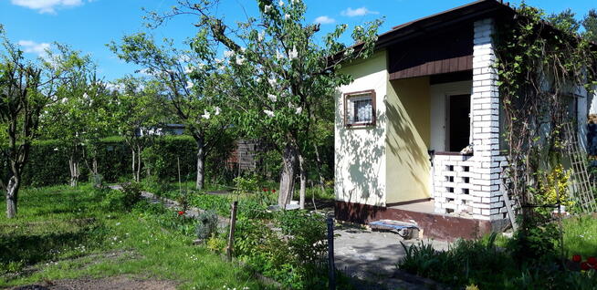 Sprzedam zadbaną działkę w ROD Wypoczynek w Będzinie