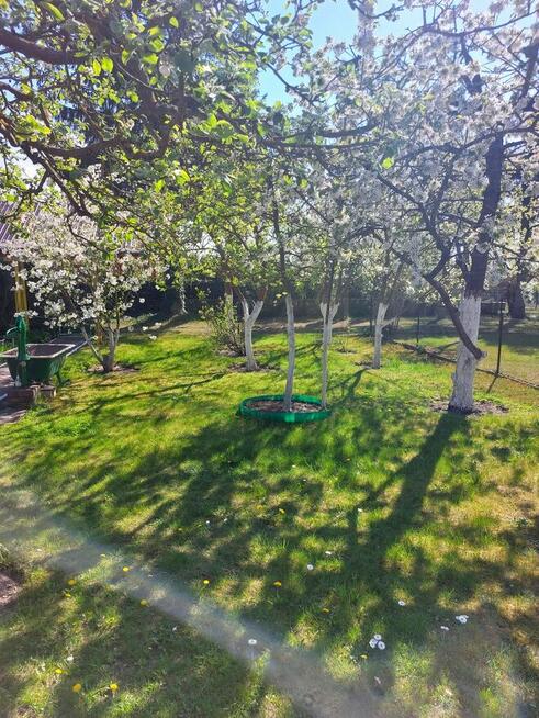 Działka ROD - sprzedaż