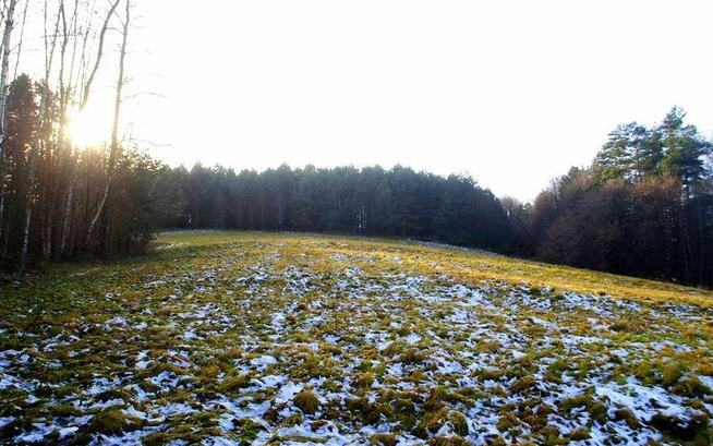 Piękna 1,28 ha działka na terenie Gór Słonnych, Bezmiechowa