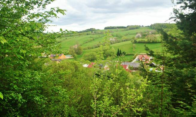 85,45 ar. działka rolna zalesiona, 5 km. od brzegu Jeziora S