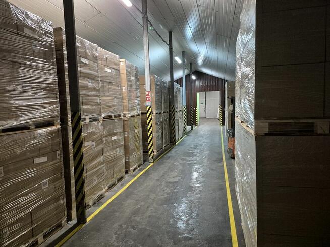 DO WYNAJĘCIA HALA MAGAZYNOWO PRODUKCYJNA