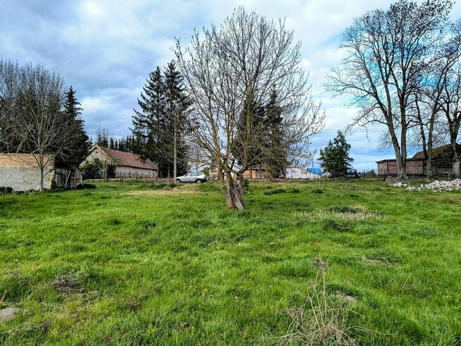 Działka siedliskowa w Zabielne 18 ar