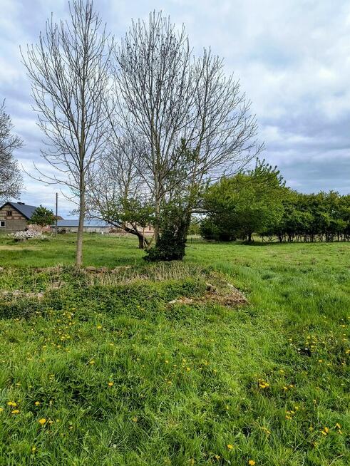 Działka siedliskowa w Zabielne 18 ar