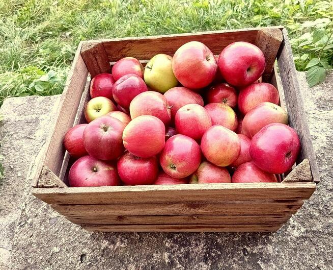 Owoce do biura żyrardów cena 1,50-2 zł.