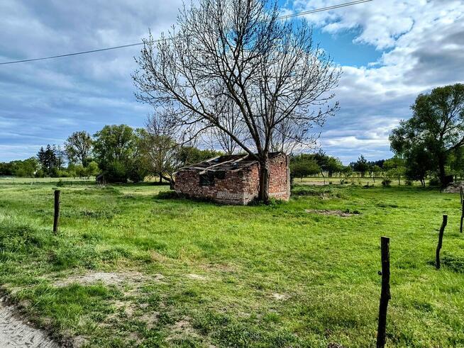 Działka siedliskowa w Zabielne 18 ar