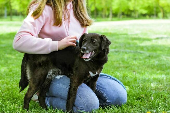 Mokka-zwykła czarna cudowna suczka, czy zasługuje na dom?