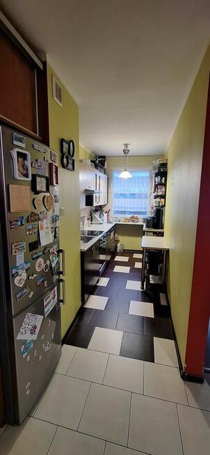 SPRZEDAM MIESZKANIE 51 M2 OSIEDLE PODLEŚNE