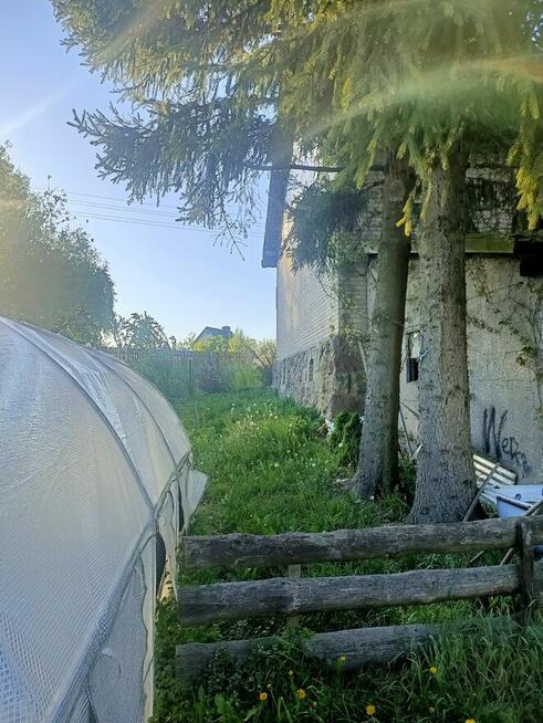 Sprzedam dom z siedliskiem