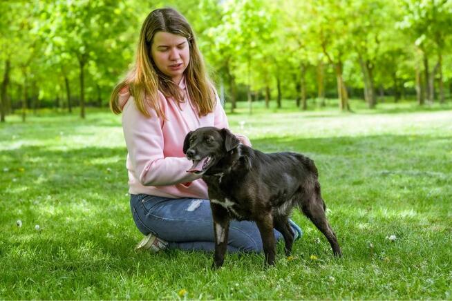 Mokka-zwykła czarna cudowna suczka, czy zasługuje na dom?