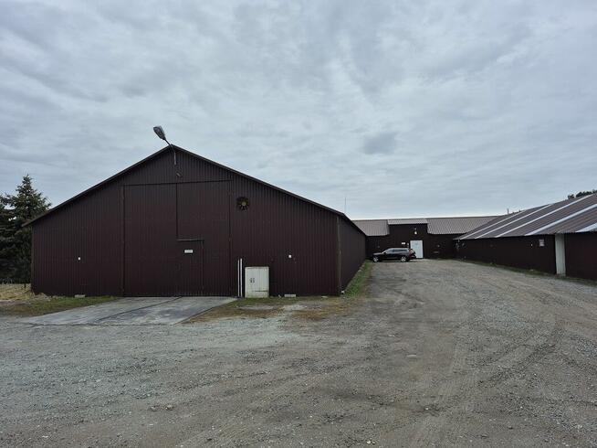 DO WYNAJĘCIA HALA MAGAZYNOWO PRODUKCYJNA