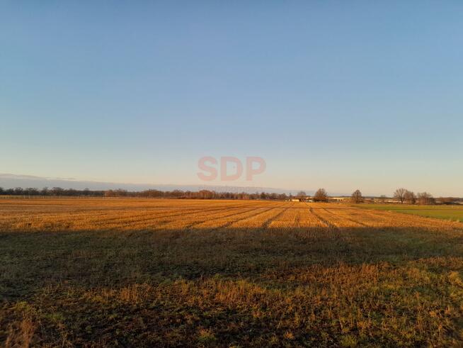 Działka rolna Brzeg Dolny, Średzka