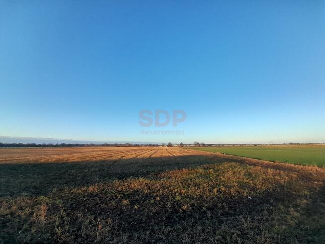 Działka rolna Brzeg Dolny, Średzka