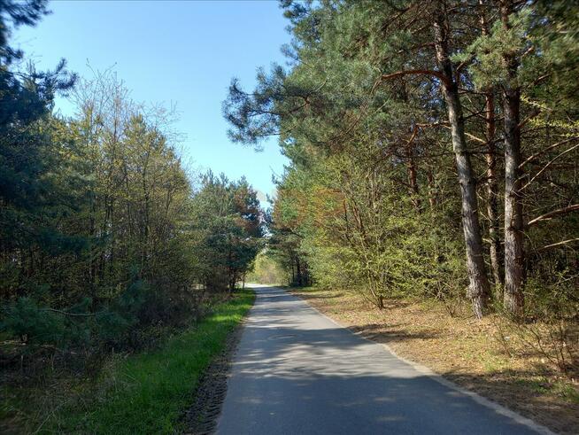 Działka budowlana Drogoszowice gm. Twardogóra