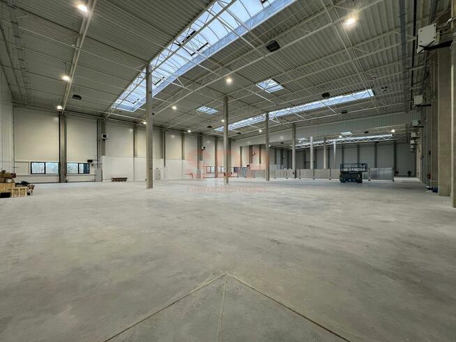 Lokal użytkowy Bolesławiec