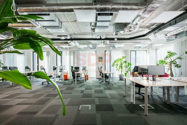 Lokal użytkowy Wrocław Stare Miasto, Stare Miasto, Łaciarska