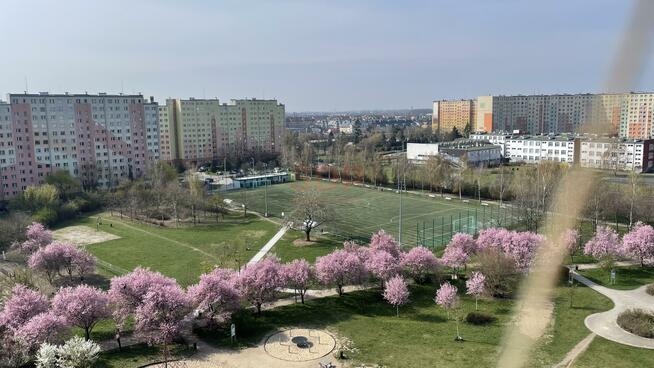 Mieszkanie Wrocław Krzyki, Krynicka