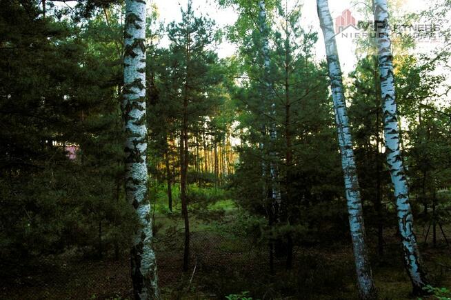 7810m2/działka bud. 4965m2/2845m2LAS