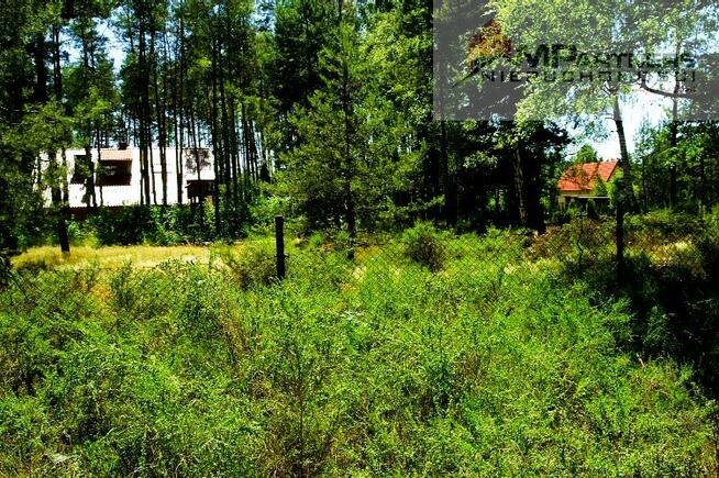 7810m2/działka bud. 4965m2/2845m2LAS