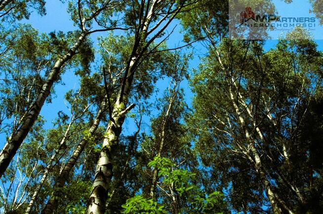 7810m2/działka bud. 4965m2/2845m2LAS