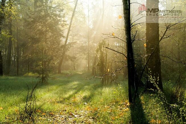 7810m2/działka bud. 4965m2/2845m2LAS