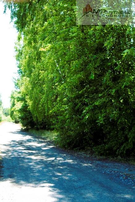 7810m2/działka bud. 4965m2/2845m2LAS