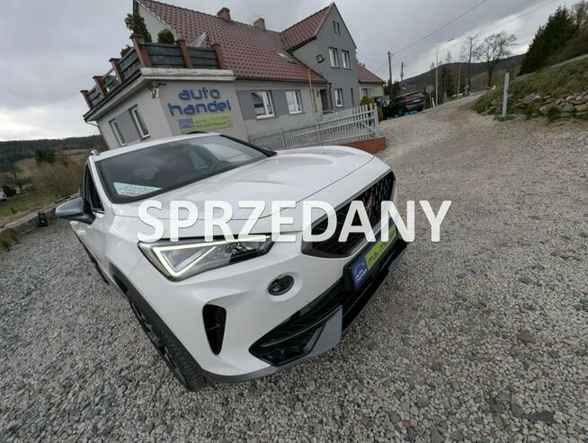 Cupra Formentor Kamera, Oświetlenie ambiente