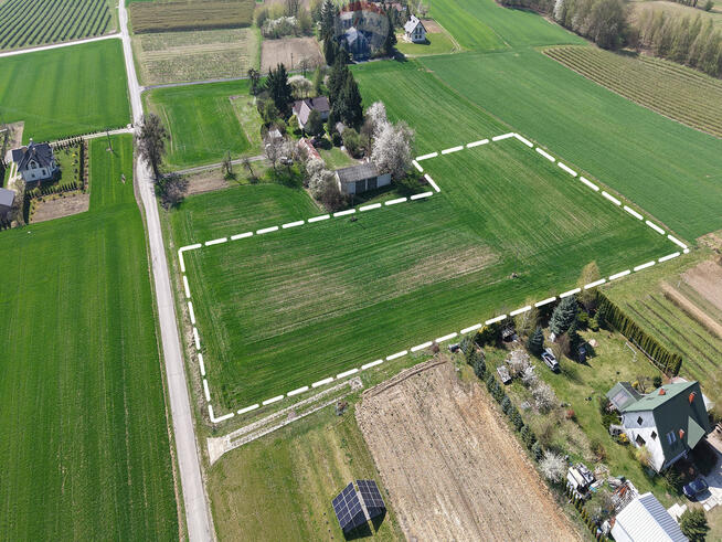 Działka 1 ha Drzewce Kolonia, blisko Nałęczowa