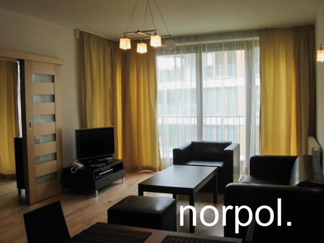 Angel Plaza, Zwierzyniecka, 60 m2, balkon, klimatyzacja, jacuzzi, siłownia