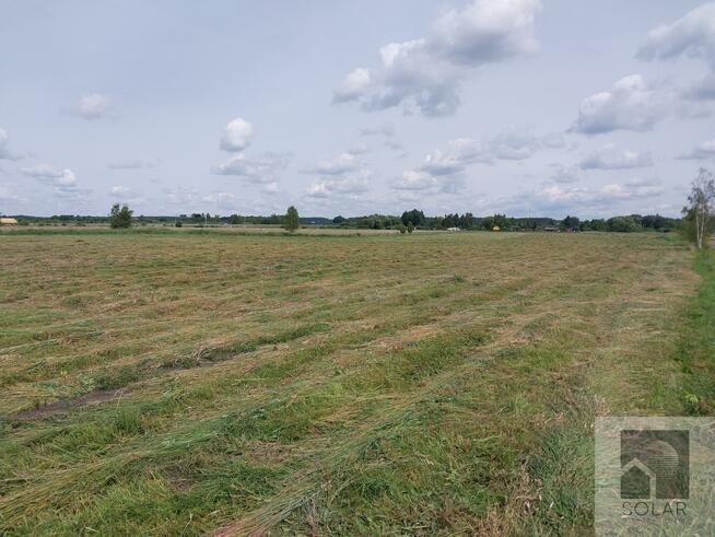 Działka rolno-budowlana Lisi Ogon gm. Białe Błota