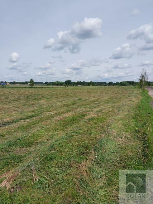 Działka rolno-budowlana Lisi Ogon gm. Białe Błota