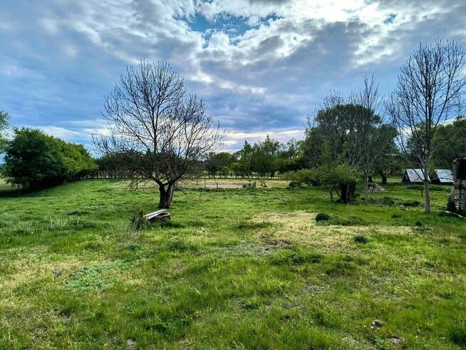 Działka siedliskowa w Zabielne 18 ar