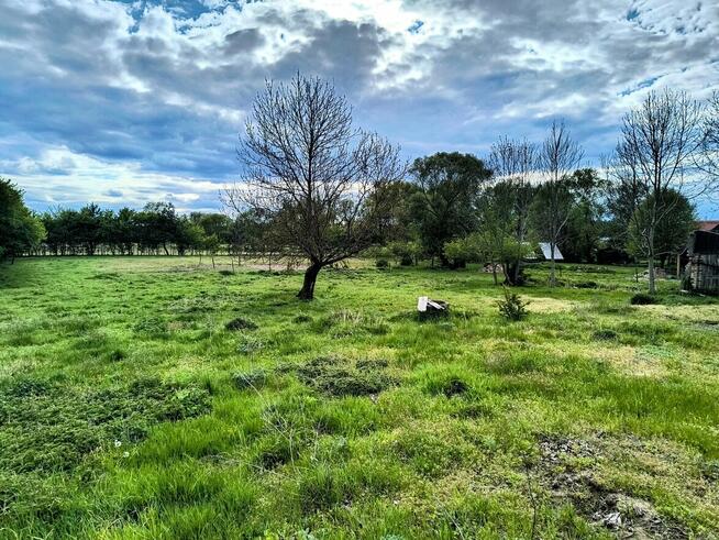 Działka siedliskowa w Zabielne 18 ar