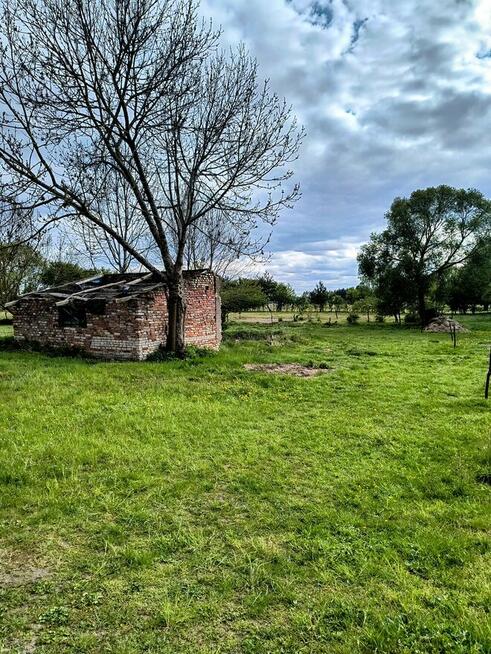 Działka siedliskowa w Zabielne 18 ar