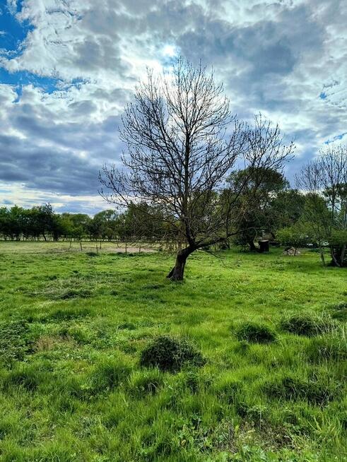 Działka siedliskowa w Zabielne 18 ar
