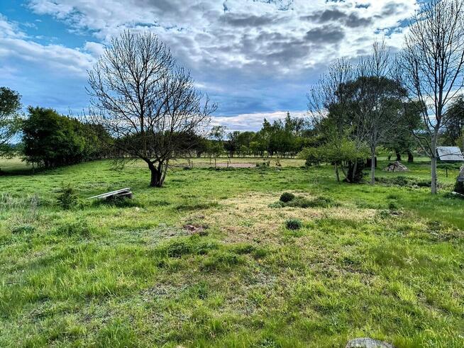 Działka siedliskowa w Zabielne 18 ar