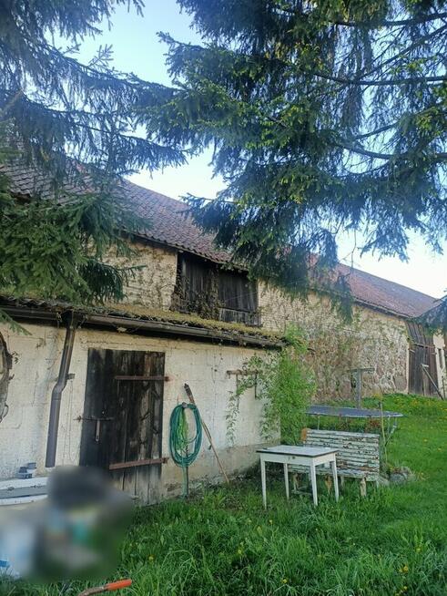 Sprzedam dom z siedliskiem