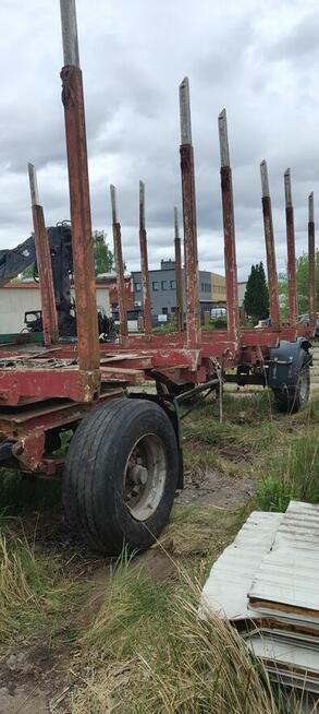 Przyczepa do lasu drzewa