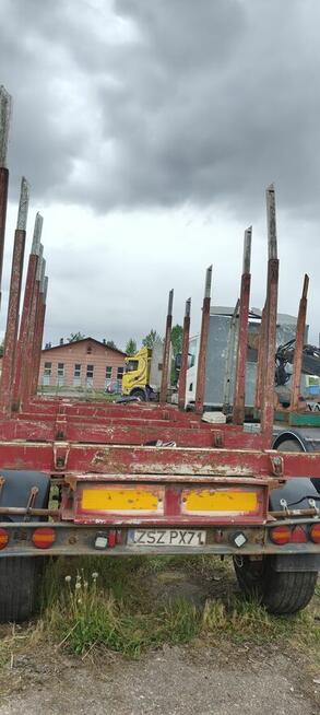 Przyczepa do lasu drzewa