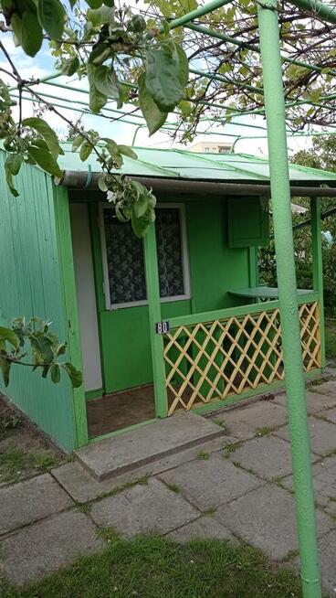 Działka ROD Siarkopol przy ul. Św. Barbary w Tarnobrzegu