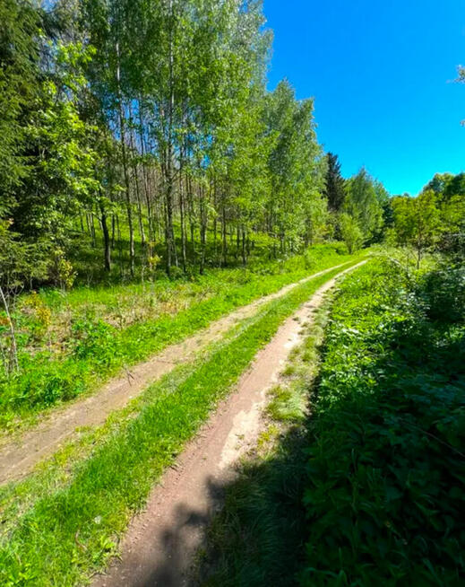 Działka leśna 9.79 ha z prywatnym stawem 0.5 ha