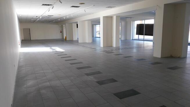 Lokal na wynajem w świetnej lokalizacji - ul. Sienkiewicza 1